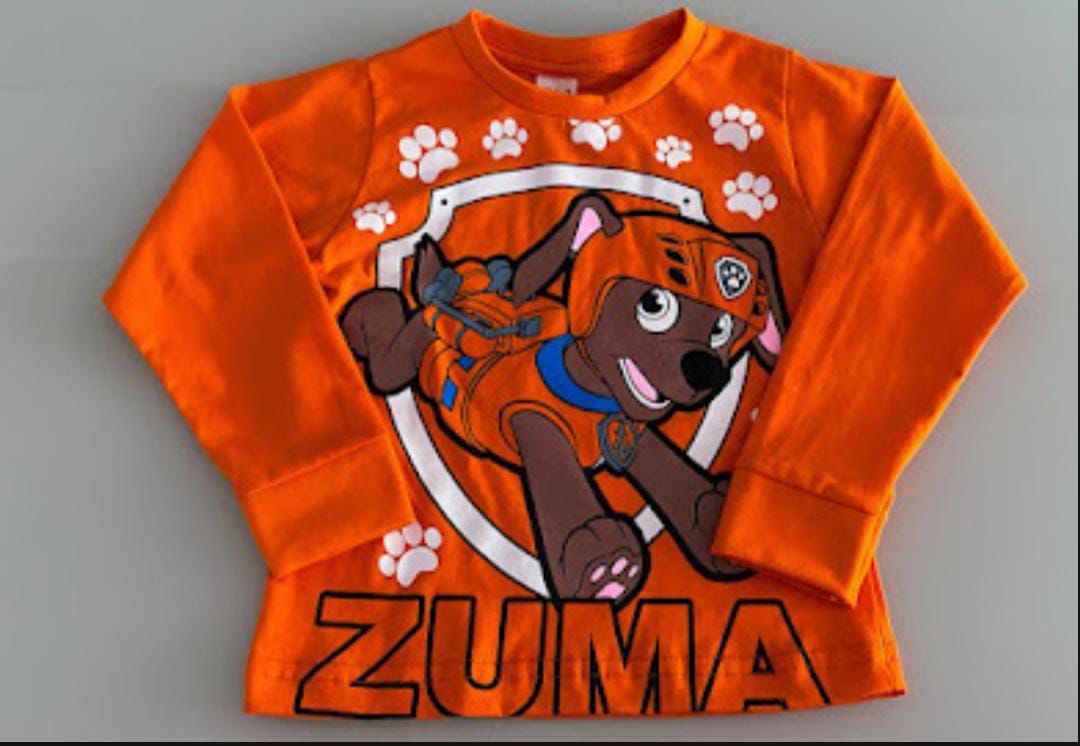 Camisetas Manga Longa Infantil de Personagens